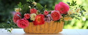 Preview wallpaper roses, flowers, garden, shopping, composition, leaves, twigs