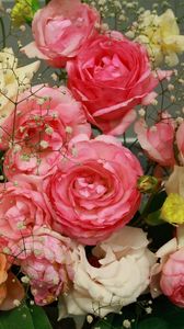 Preview wallpaper roses, flowers, garden, flower, gypsophila