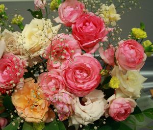 Preview wallpaper roses, flowers, garden, flower, gypsophila