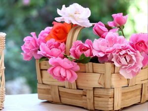 Preview wallpaper roses, flowers, garden, basket