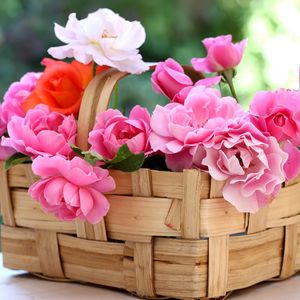 Preview wallpaper roses, flowers, garden, basket