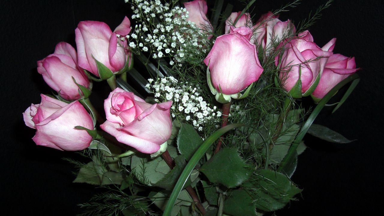 Wallpaper roses, flowers, gypsophila, flower, vase