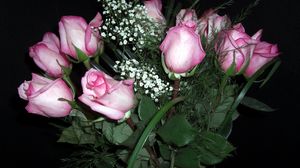 Preview wallpaper roses, flowers, gypsophila, flower, vase
