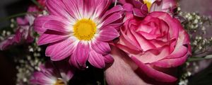 Preview wallpaper roses, flowers, gypsophila, bouquet, close-up