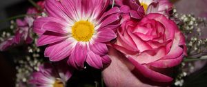 Preview wallpaper roses, flowers, gypsophila, bouquet, close-up