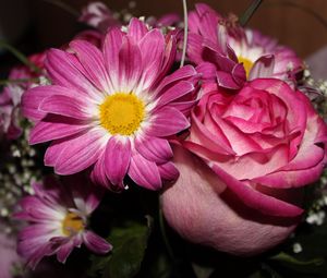 Preview wallpaper roses, flowers, gypsophila, bouquet, close-up