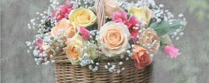 Preview wallpaper roses, flowers, gypsophila, basket