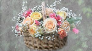 Preview wallpaper roses, flowers, gypsophila, basket