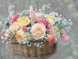 Preview wallpaper roses, flowers, gypsophila, basket