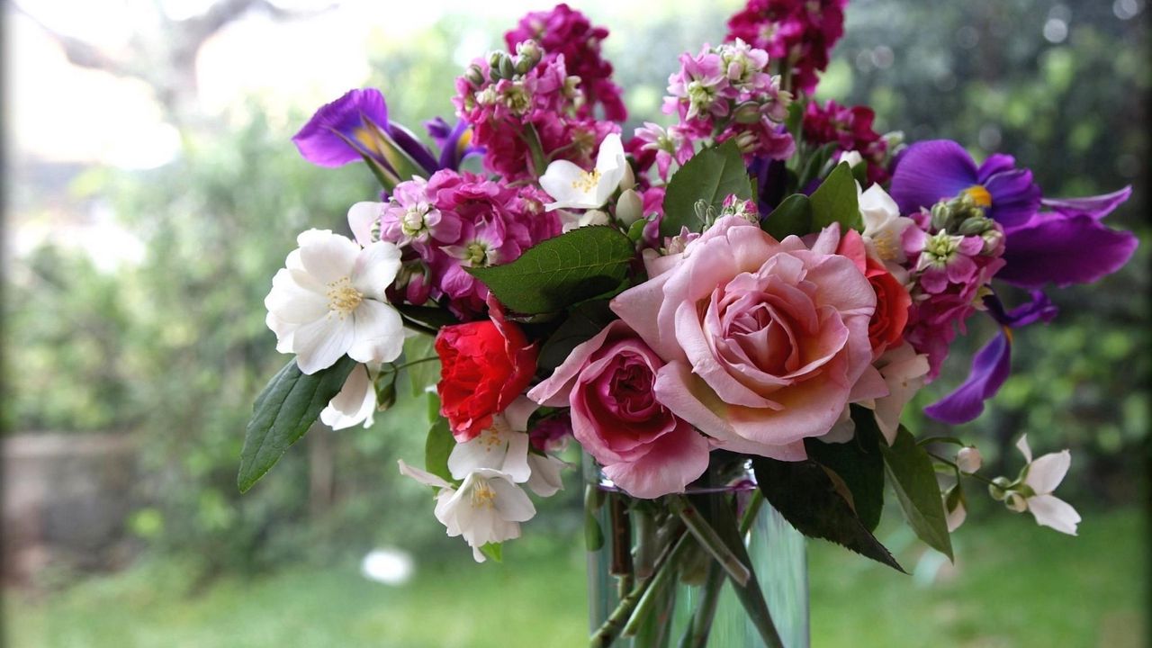 Wallpaper roses, flowers, jasmine, bouquet, vase, box