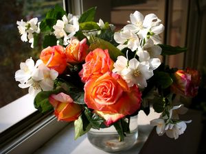 Preview wallpaper roses, flowers, jasmine, spring, flower, vase, window