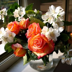 Preview wallpaper roses, flowers, jasmine, spring, flower, vase, window