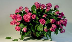 Preview wallpaper roses, flowers, leaves, vase, lot