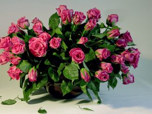 Preview wallpaper roses, flowers, leaves, vase, lot