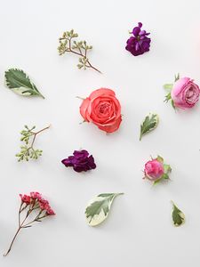 Preview wallpaper roses, flowers, leaves, herbarium