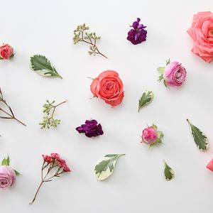 Preview wallpaper roses, flowers, leaves, herbarium