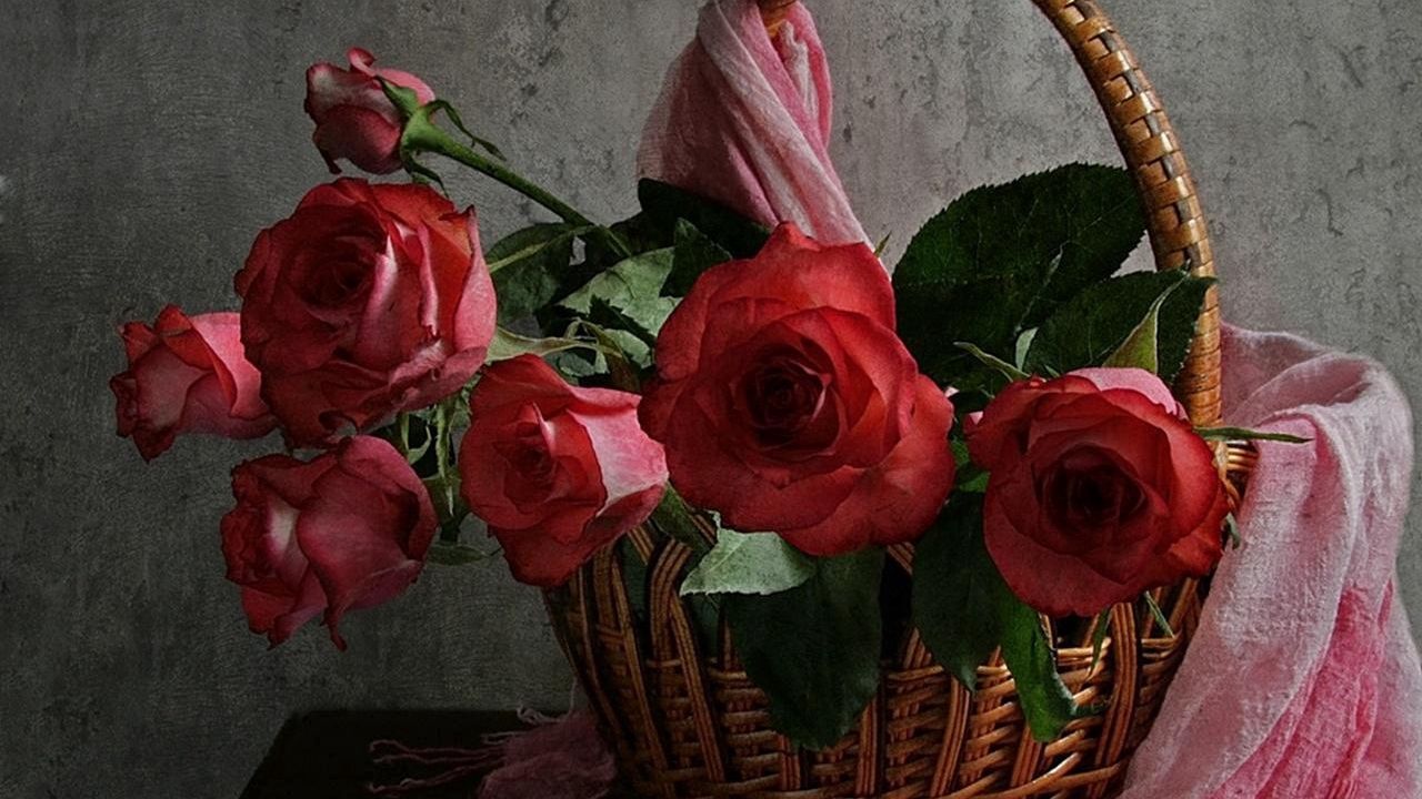 Wallpaper roses, flowers, leaves, trash, tippet, table, wall