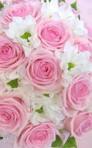 Preview wallpaper roses, flowers, leaves, flower, tenderness, design