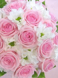 Preview wallpaper roses, flowers, leaves, flower, tenderness, design