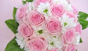 Preview wallpaper roses, flowers, leaves, flower, tenderness, design