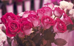 Preview wallpaper roses, flowers, miscellaneous, beauty