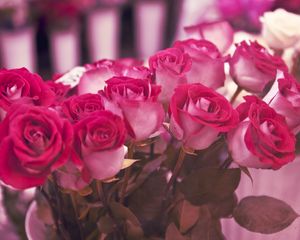 Preview wallpaper roses, flowers, miscellaneous, beauty