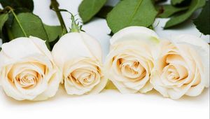 Preview wallpaper roses, flowers, number, buds, charm