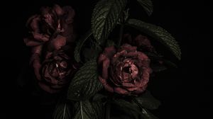 Preview wallpaper roses, flowers, petals, dark, bud