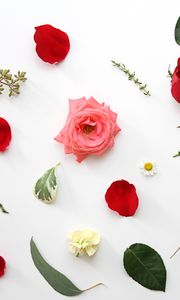 Preview wallpaper roses, flowers, petals, leaves