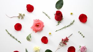 Preview wallpaper roses, flowers, petals, leaves