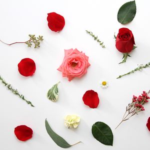 Preview wallpaper roses, flowers, petals, leaves