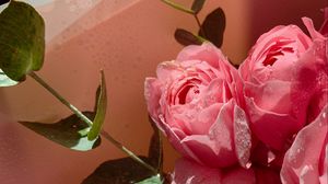 Preview wallpaper roses, flowers, petals, bouquet, pink