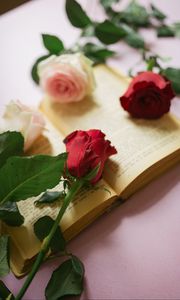 Preview wallpaper roses, flowers, petals, book, pages, aesthetics