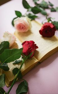 Preview wallpaper roses, flowers, petals, book, pages, aesthetics