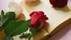 Preview wallpaper roses, flowers, petals, book, pages, aesthetics