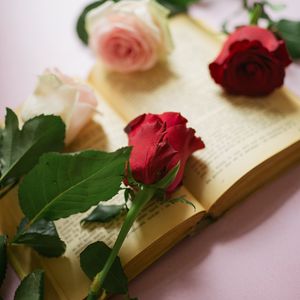 Preview wallpaper roses, flowers, petals, book, pages, aesthetics