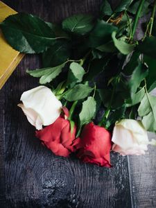 Preview wallpaper roses, flowers, petals, bouquet, composition