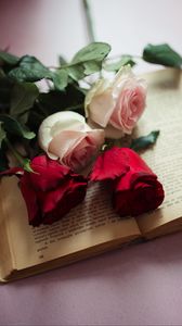 Preview wallpaper roses, flowers, petals, book, aesthetics