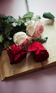 Preview wallpaper roses, flowers, petals, book, aesthetics