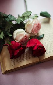 Preview wallpaper roses, flowers, petals, book, aesthetics