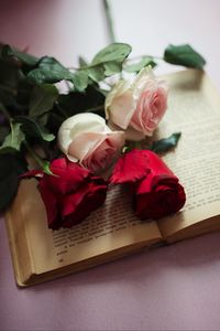 Preview wallpaper roses, flowers, petals, book, aesthetics