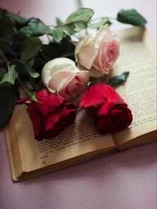 Preview wallpaper roses, flowers, petals, book, aesthetics