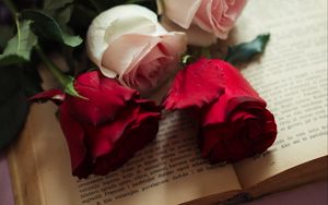 Preview wallpaper roses, flowers, petals, book, aesthetics