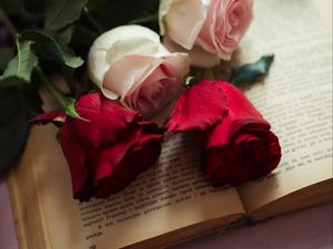 Preview wallpaper roses, flowers, petals, book, aesthetics