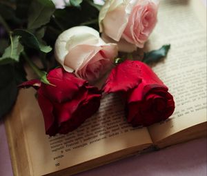 Preview wallpaper roses, flowers, petals, book, aesthetics