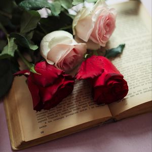 Preview wallpaper roses, flowers, petals, book, aesthetics