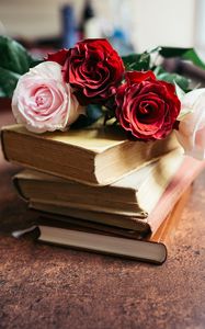 Preview wallpaper roses, flowers, petals, bouquet, books