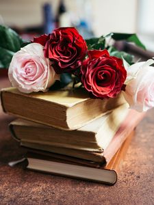 Preview wallpaper roses, flowers, petals, bouquet, books