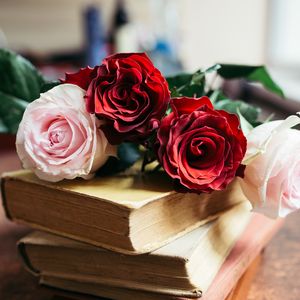 Preview wallpaper roses, flowers, petals, bouquet, books