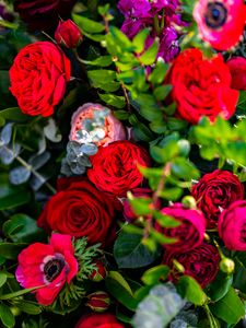 Preview wallpaper roses, flowers, petals, bush, leaves, macro